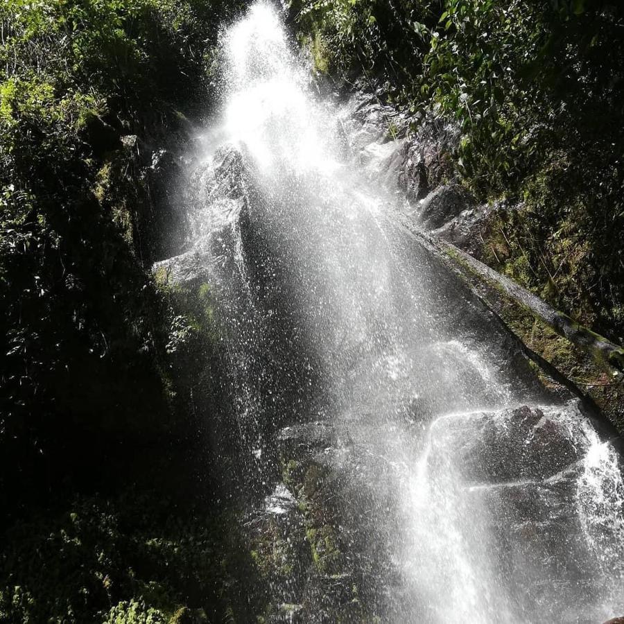 Navarro Mountain Cartago Exterior foto